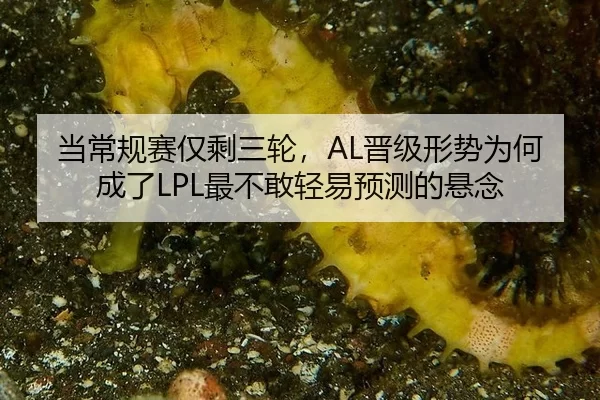 dang-chang-gui-sai-jin-sheng-san-lun-jin-ji-xing-shi-wei-he-cheng-le-zui-bu-gan-qing-yi-yu-ce-de-xuan-nian-2-800.jpg
